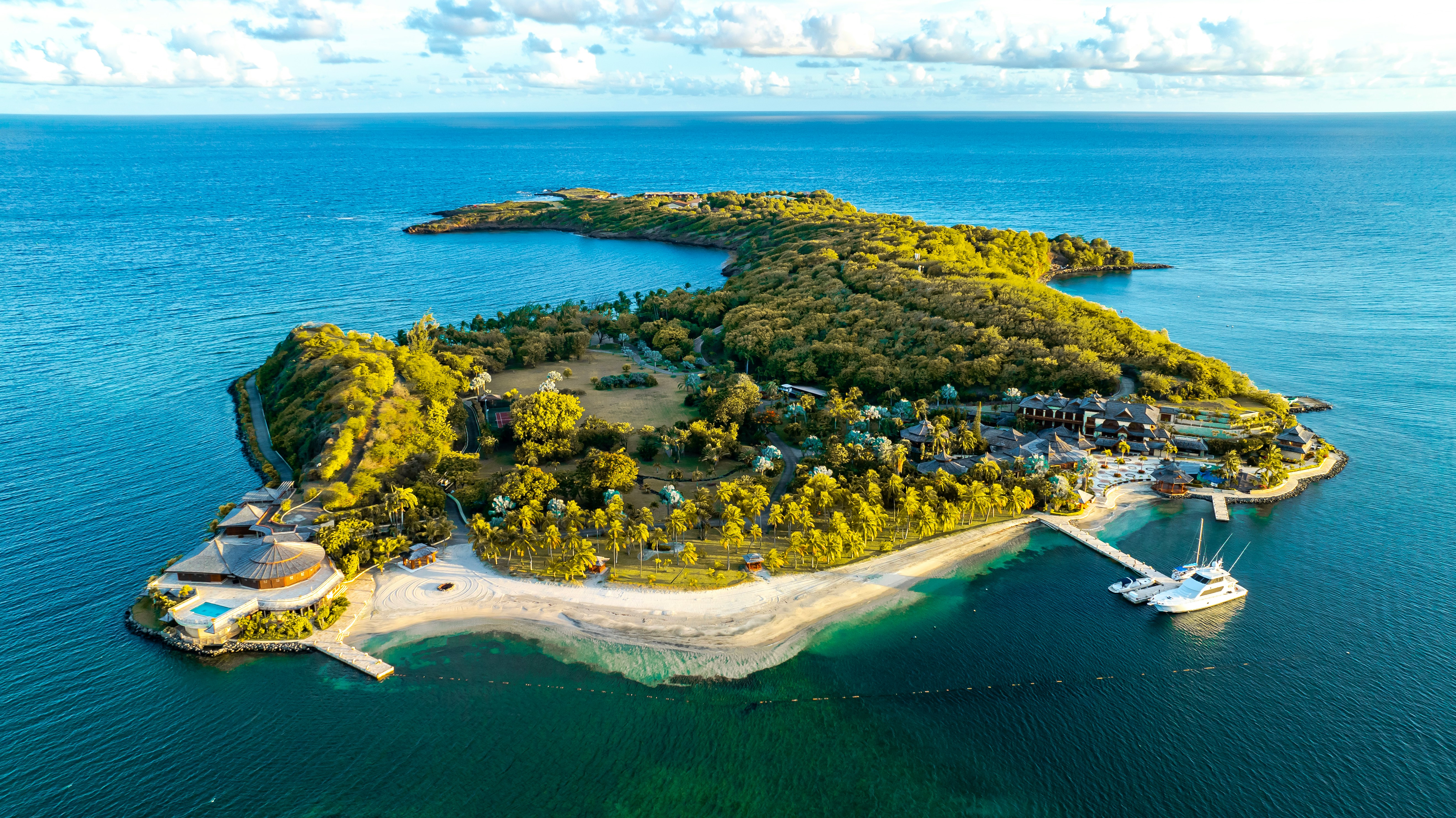 Island conservation